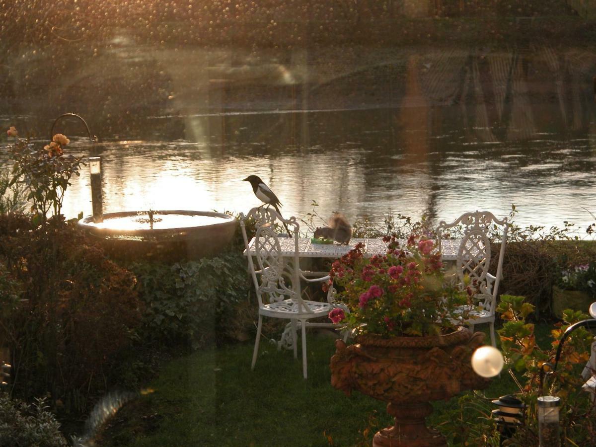 Bed and Breakfast Chiswick Riviera With Free Parking London Exterior foto